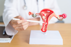  5 Ways Hysteroscopy Resolving Uterine Adhesions